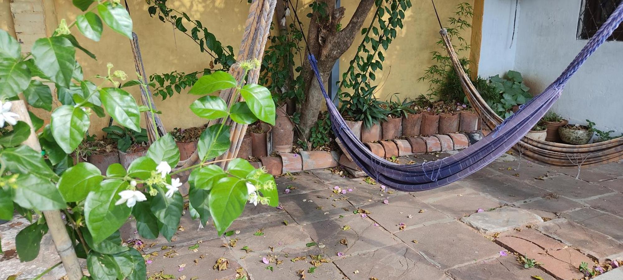 Mediterraneo Youth Hostel Asuncion Exterior photo