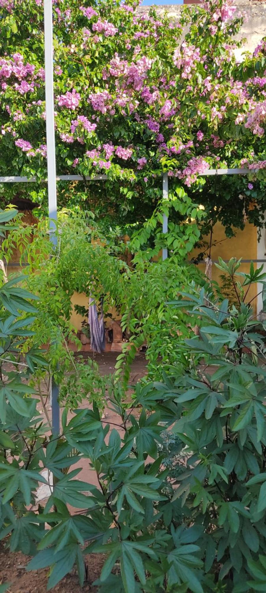 Mediterraneo Youth Hostel Asuncion Exterior photo